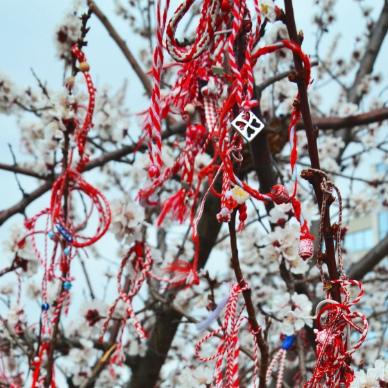 Martenitsas hanging on a blossoming tree, a symbol of approaching spring.
