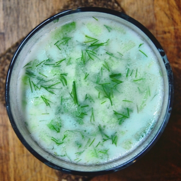 Tarator, a typical Bulgarian cold yogurt-cucumber soup.